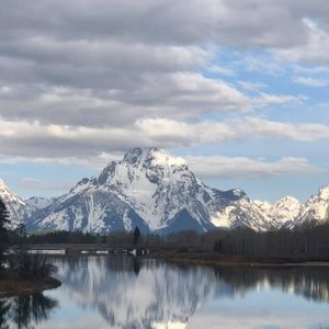 Meet your Posher, Joyce